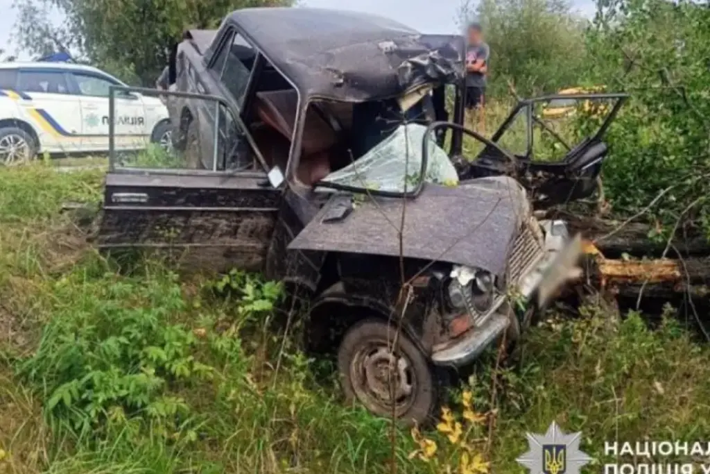 На Житомирщині авто з Хмельниччини врізалося в дерево: жінка у реанімації