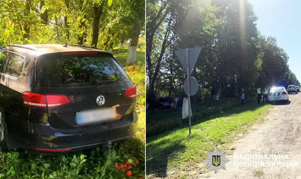 Смертельна ДТП на Хмельниччині: водій легковика врізався у дерево