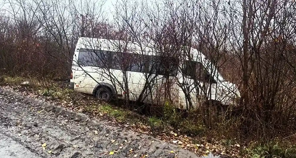 У Хмельницькому районі мікроавтобус з пасажирами врізався в дерево – є травмовані