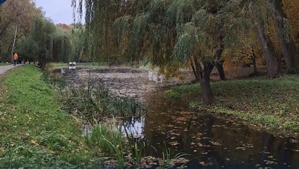 У Хмельницькому комунальники шукають, хто забруднює парк Чекмана