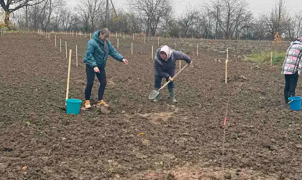 Біля будинку-інтернату на Кам’янеччині висадили молодий сад