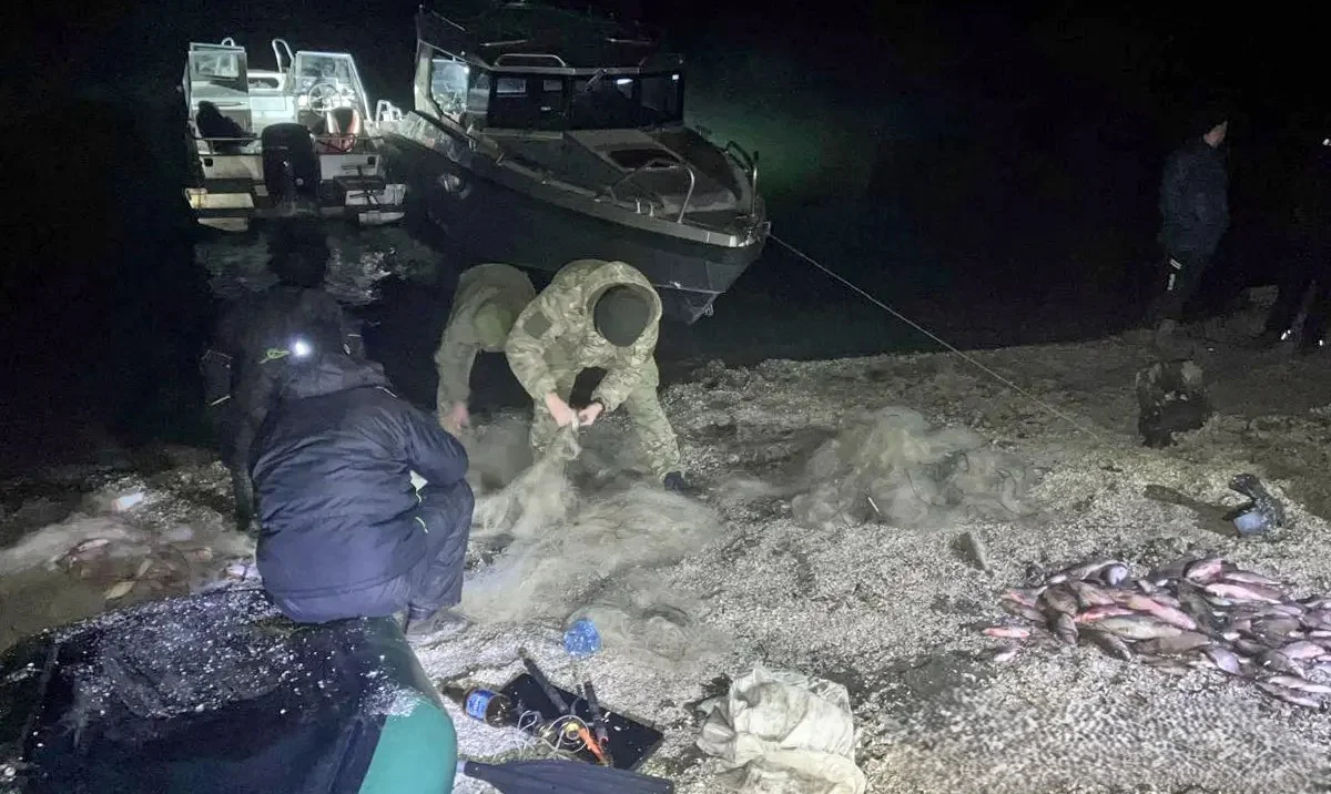 Браконьєрів з понад двома сотнями рибин затримали на Дністрі