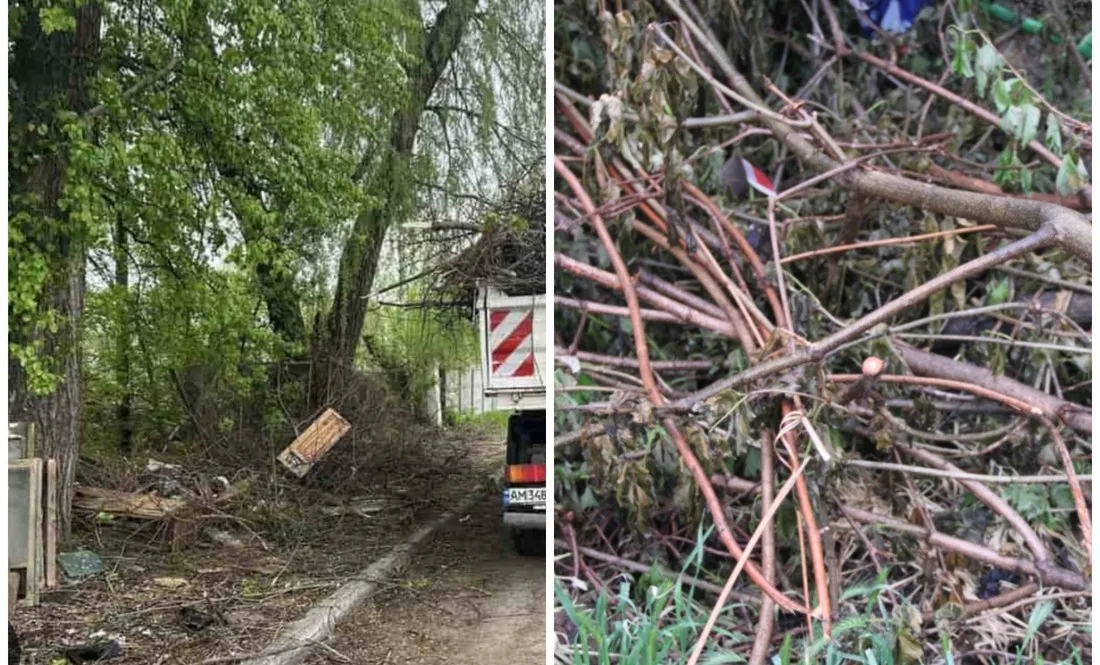 Зручно для кожного району: коли і де вивозитимуть гілля
