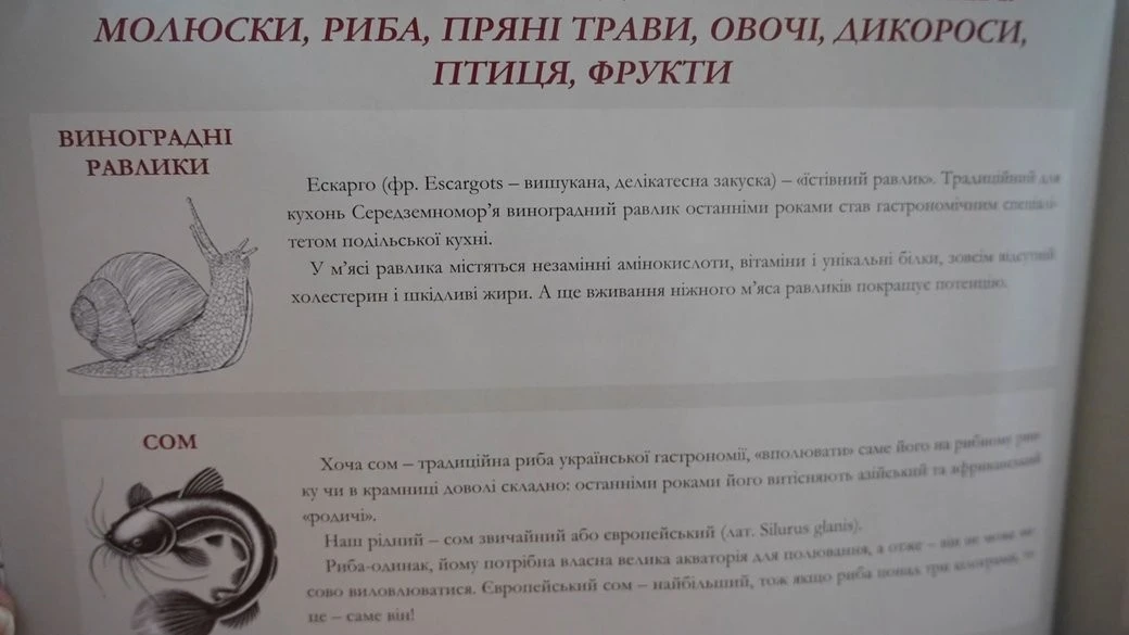 Ікра равлика та артишок: альманах з рецептами страв подільської аристократії презентували у Хмельницькому