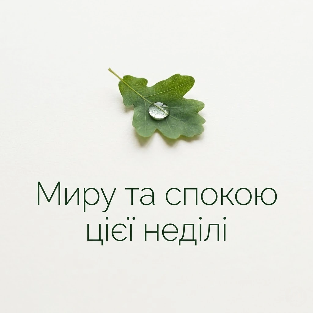 Доброго ранку: картинки на неділю для душевного настрою та затишку