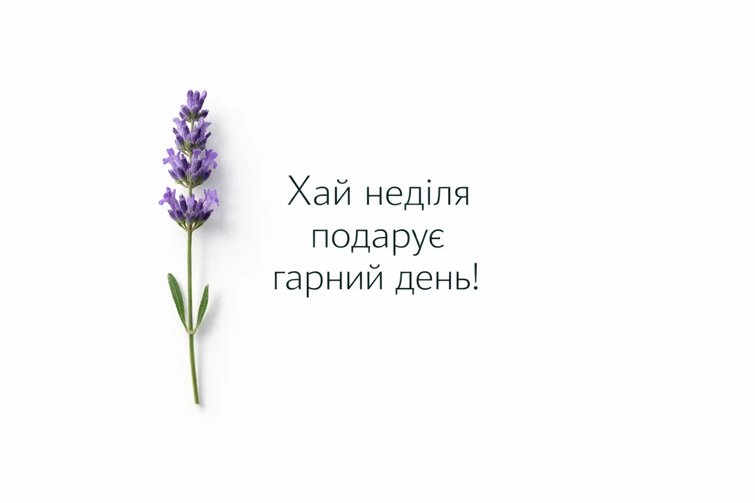 Доброго дня:  картинки українською для душевних вітань та гарного настрою